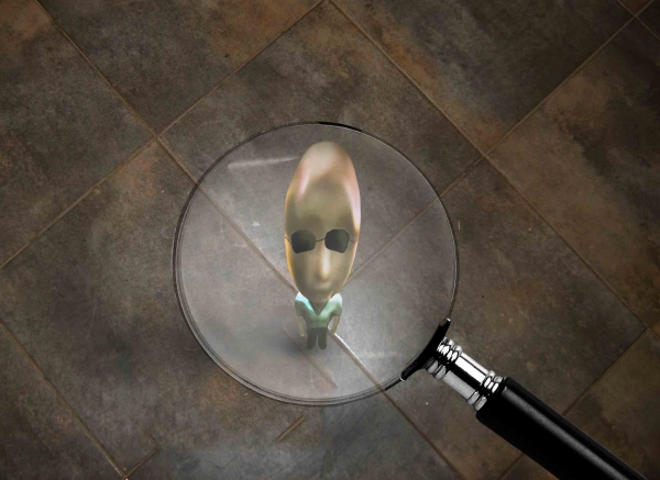 Creation of Zoomed: Step 3